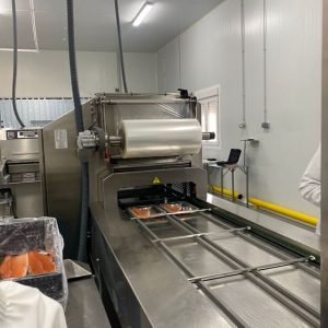 termoselladora31-2